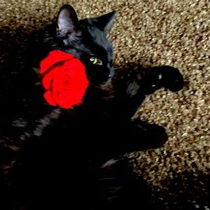 Meet your Posher, Mary